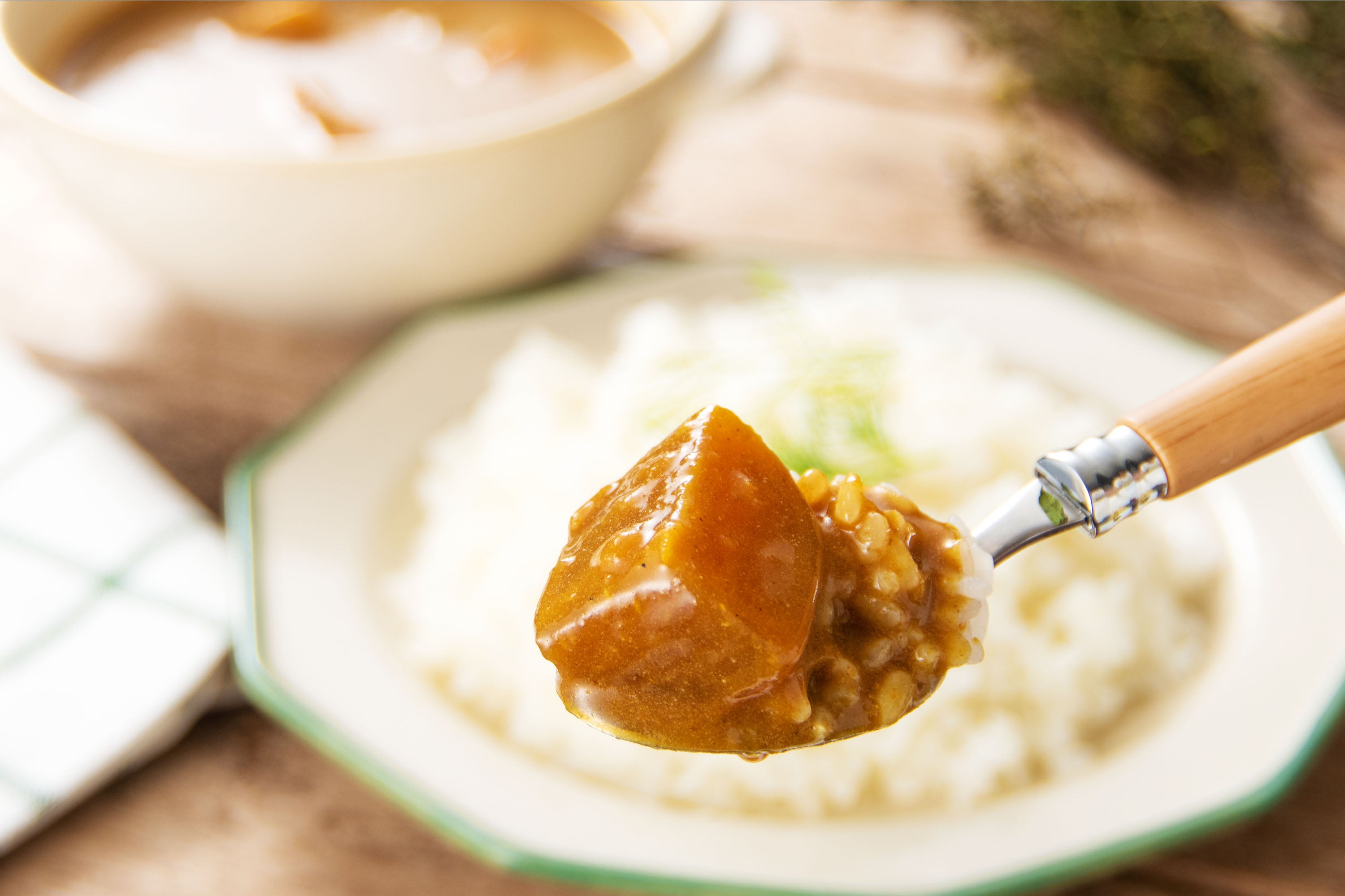 アレルゲンフリーの植物性レトルトカレー］｜【単品】糀六華