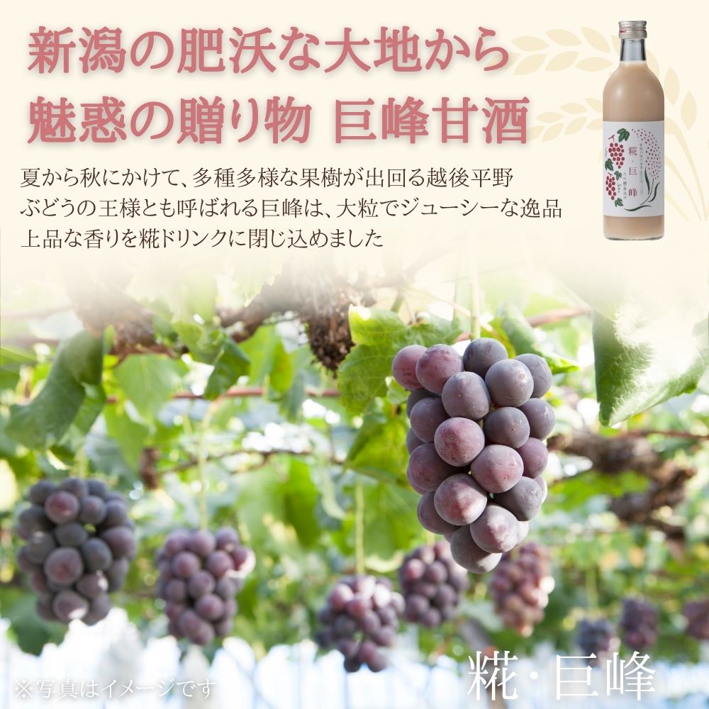 ［新潟の肥沃な大地の贈り物］｜【化粧箱入り2本ギフト】糀巨峰/玄米甘酒 FKG2-137